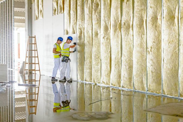 Best Insulation Installation Services in Jackson, GA
